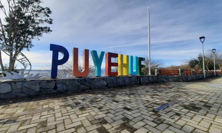 Puyehue interior - Pasajes a Entre Lagos