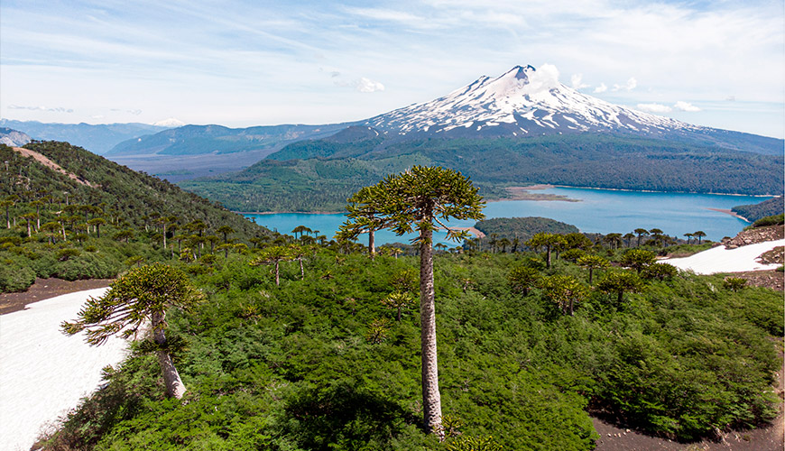 Sur de Chile