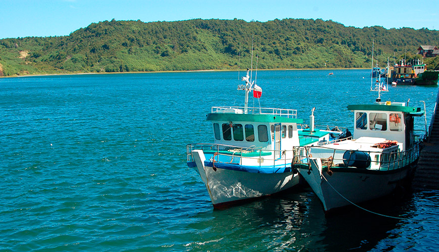 Lago Ranco